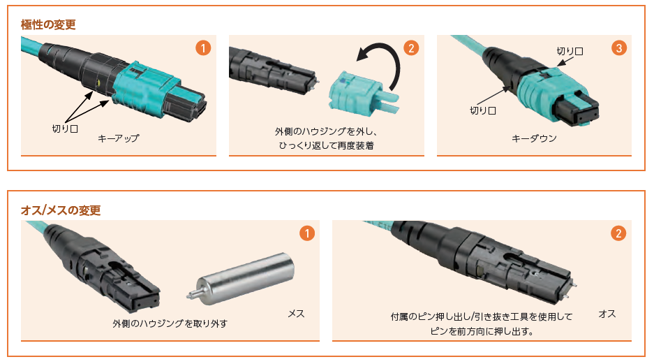極性の変更 オス/メスの変更