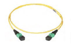 QuickNet™ MPO丸型インターコネクトケーブル