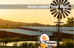 Noosa Yoghurt