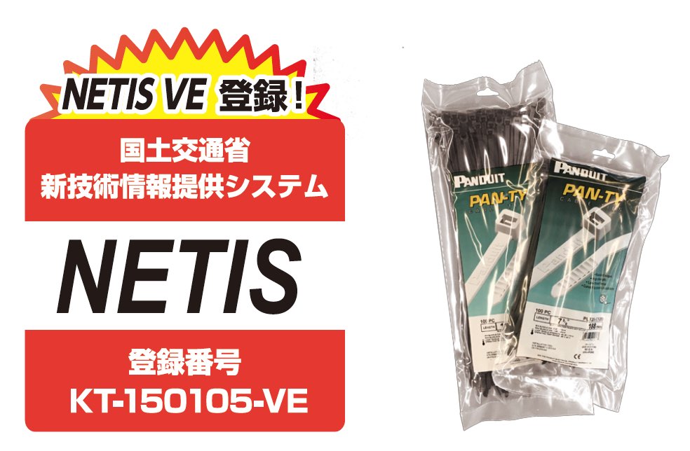 完璧 パンドウイット ナイロン結束バンド耐候性黒 1000本入 335.28 x 317.5 96.52 mm PLT3SM0 1000本 